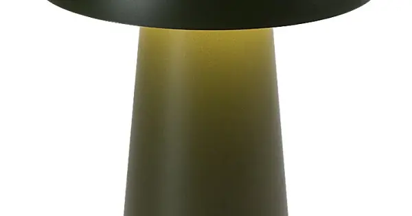 Rábalux Mireo zöld hordozható LED asztali lámpa (RAB-76038) LED 1 izzós IP44 Olcsó