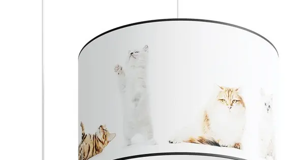 Végkiárusítás Sollux Kitty 40 fehér-színes gyerek függesztett lámpa (SOL-SL.1421) E27 1 izzós IP20