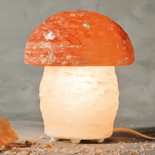 Sólámpás gomba Biztonságos fizetés