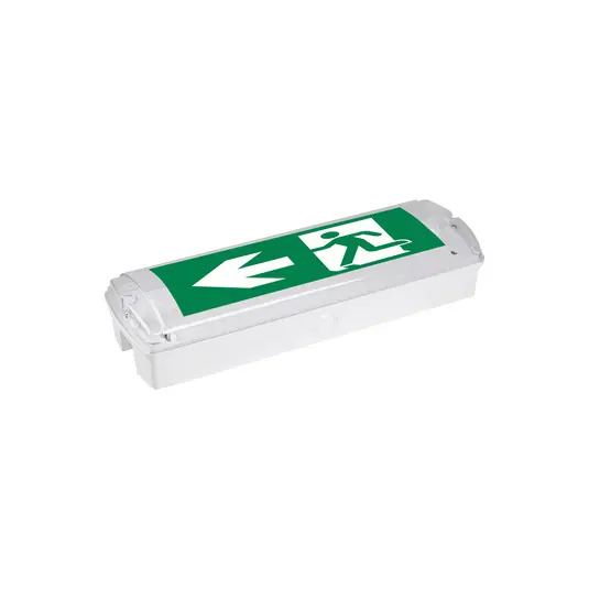 Kihagyhatatlan ajánlat Hamm LED menekülési útvonal lámpa, süllyesztett, IP65 6500K