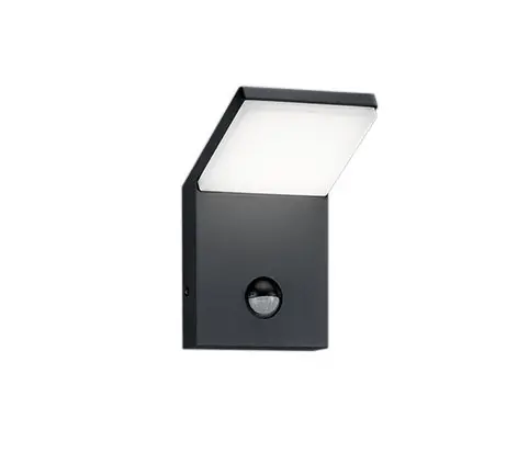 TRIO 221169142 Pearl kültéri fali lámpalámpa SMD 1X9W 900lm 3000K IP54 Különleges ajánlat