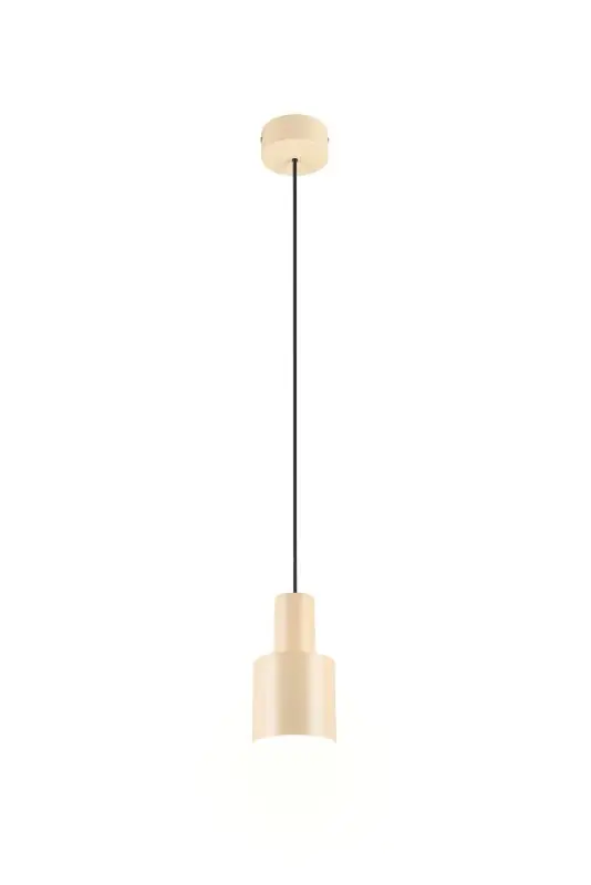 Trio T319400144 mennyezeti függőlámpa AGUDO E27 Népszerű